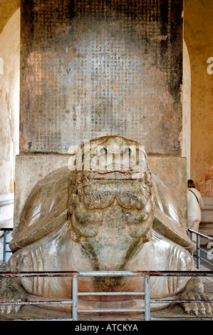 La scultura in marmo di una tartaruga a testa di drago che porta sul retro la Stele più grande inscritta in Cina, il Padiglione tavoletta si trova sulla Via Sacra Foto Stock