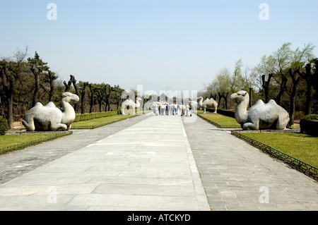 I turisti camminano tra antiche statue di animali scolpite in pietra su ogni lato della Via Sacra che si estende per 7 chilometri attraverso le tombe Ming Foto Stock