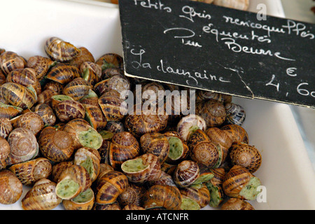 Escargot de Bourgogne con burro all'aglio in vendita su un mercato francese in stallo. Foto Stock
