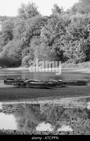 Barche sul lago Swanbourne in Arundel, Inghilterra Foto Stock