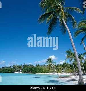 Spiaggia di Punta Cana, Repubblica Dominicana, dei Caraibi Foto Stock