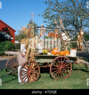 Display di Halloween di zucche o Squash su carrello in Amish Acres, Indiana, STATI UNITI D'AMERICA Foto Stock