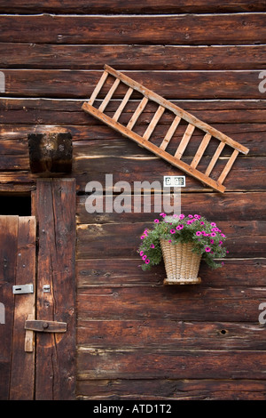 Cesto in Vimini di fiori e la scaletta di legno appendere al di fuori della vecchia capanna in legno nel villaggio alpino di Murren svizzera Foto Stock