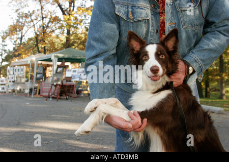 Valparaiso Indiana,Rogers Lakewood Park,vale fine Arts Festival,festival fair,cane,animale,canino,animale,proprietario,IN061007098 Foto Stock