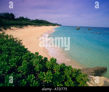 Warwick Long Bay in Bermuda offre una sabbia rosa beach vegetazione lussureggiante e aqua blue water Foto Stock