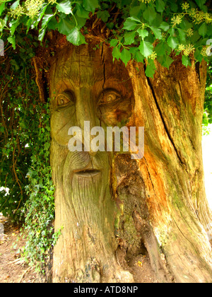 Albero scultura Giardini Clyne Swansea Foto Stock