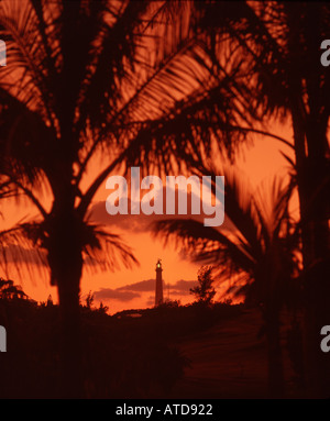 Sagome di palme e distante Gibb sulla collina del faro contro un cielo fiery al tramonto in Bermuda Foto Stock