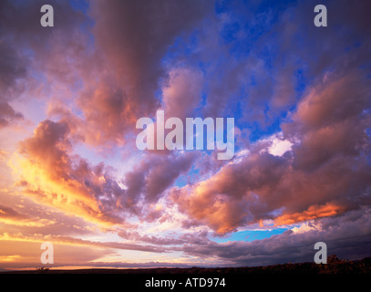 Nuvole al tramonto con sfumature di giallo, rosa e arancione streak attraverso un vasto cielo blu Foto Stock