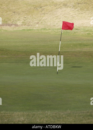 Bandiera rossa su di un campo da golf a grana grossa al vento Foto Stock