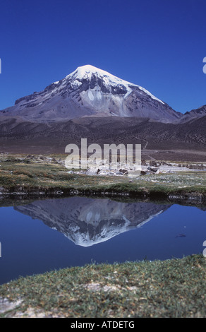 Vulcano Sajama riflessa nella piscina termale, Sajama Parco Nazionale, Bolivia Foto Stock