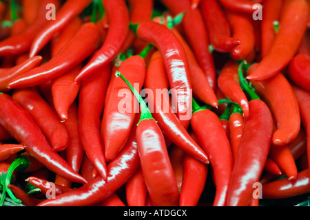 Red Hot Chili Peppers Foto Stock