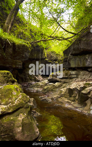Riverbed in Brecon Beacons Country Park Foto Stock