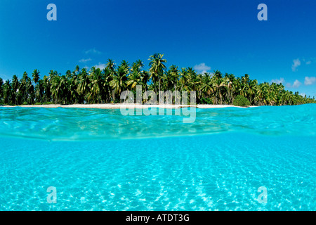 Tropical Pacific Beach Tuamotus Oceano Pacifico Foto Stock