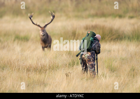 Wildlife Photographer con long lens fotografare Cervi stag in erba lunga Richmond Park London Foto Stock