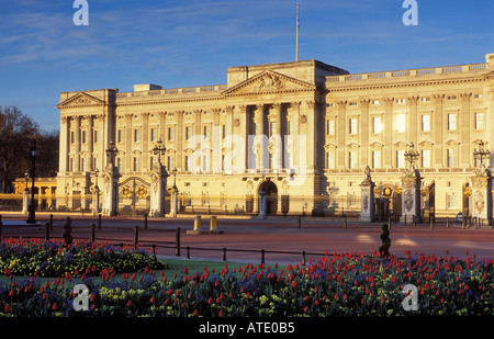 Buckingham Palace Londra Inghilterra REGNO UNITO Foto Stock