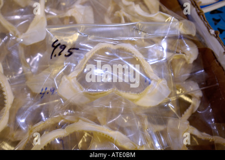 Shark ganasce per la vendita in un negozio di curiosita' Florida Foto Stock