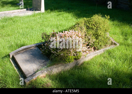 Semplice tomba coperta di edera Cathays cimitero, Cardiff Regno Unito Foto Stock