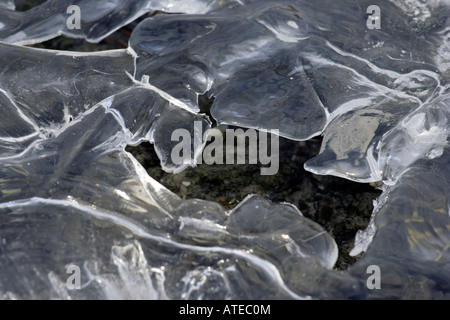 Formazioni di ghiaccio in un ruscello Foto Stock