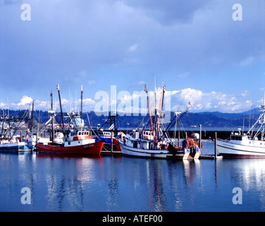 La vista del porto di Newport sulla centrale di Oregon Coast mostra delle navi da pesca al dock Foto Stock