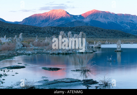 Mono Lake Foto Stock