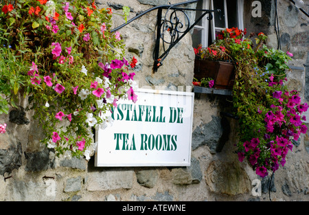 Welsh bilingue Lingua Inglese sale da tè in segno con cesti di fiori in Gwynedd a Dolgellau Galles del Nord Regno Unito Foto Stock