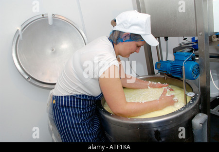 Rendendo Caws Mynydd Du sheeps formaggio di latte prodotta da Poll Dorset e Poll Dorset X pecore in Talgarth Powys Wales UK GB UE Foto Stock