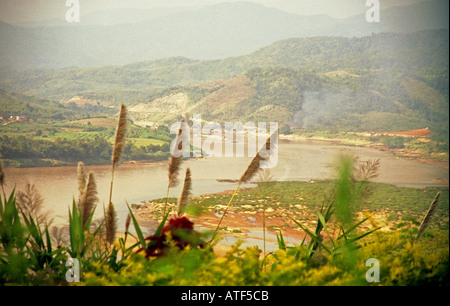 Valle di bordo magnifico incredibile alveo marrone fiore flora alta profondità top Nam Ou Fiume Nong Khiaw Laos del sud-est asiatico Foto Stock