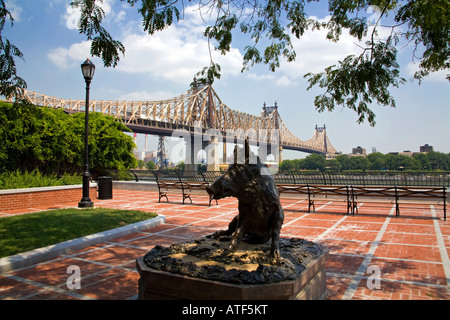 Il Queensboro Bridge, Sutton Place Park, Cinghiale statua, Manhattan, New York Foto Stock