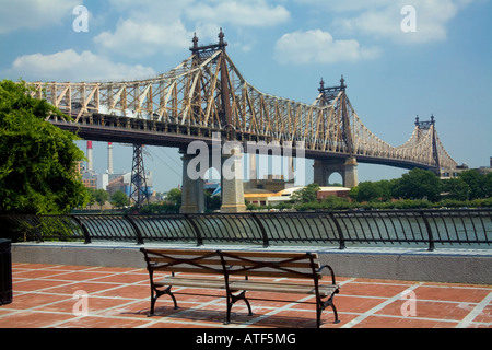 Il Queensboro Bridge, Sutton Place Park, Cinghiale statua, Manhattan, New York Foto Stock