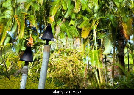 Torce Tiki masterizzazione in ambiente tropicale in Hawaii Foto Stock