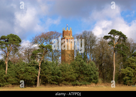 La follia, Faringdon, Oxfordshire fu costruito nel 1935 dal signore Berners. Foto Stock