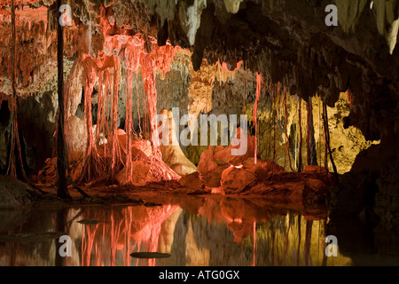 Di mistero e di bellezza nelle profondità della caverna asciutta a Labnaha con le sue radici e stalagmiti Foto Stock