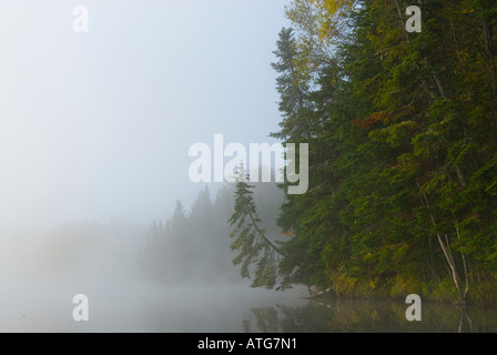 Immagine di stock di autunno colori che riflettono in calme acque chiare con nebbia di mattina circa il lift-off Foto Stock