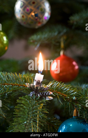 Una candela in un albero di natale Foto Stock