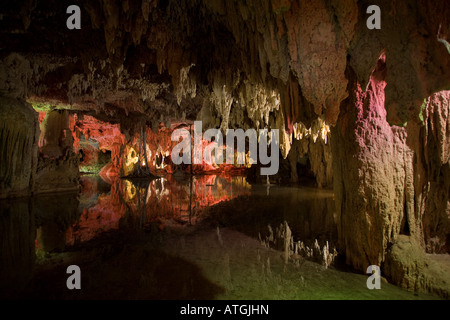 Arazzo caverna la caverna asciutta a Labnaha con le sue radici e stalagmiti è illuminato con luci colorate Foto Stock