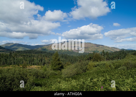 dh Queen Elizabeth Forest Park ACHRAY FOREST STIRLINGSHIRE ben Ledi scozia scottish Mountain Scenic blue Sky Forest Trees trossachs uk Foto Stock