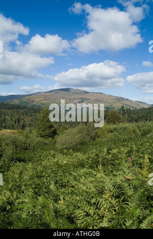 dh Queen Elizabeth Forest Park ACHRAY FOREST STIRLINGSHIRE ben Ledi trossachs scozia regno unito montagna scozzese Foto Stock