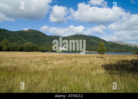 dh LOCH ACHRAY STIRLINGSHIRE Queen Elizabeth Forest Park e Loch Achray Hotel timeshare campagna all'aperto Foto Stock