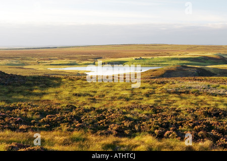 Nord su Loch di Yarrows 7 miglia SW di stoppino. Piatto tipico paese Floe paesaggio di Caithness regione del nord-est della Scozia, Regno Unito Foto Stock