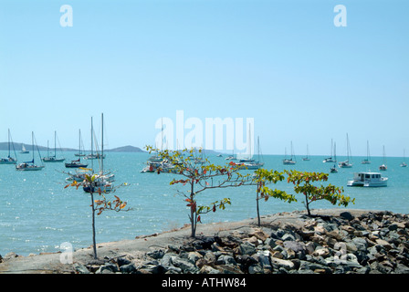 Spiaggia airlee queensland Proserpina Airlee Beach Australia australian vicino whitsunday island east coast airlee beach queensland Foto Stock