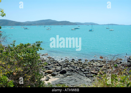 Spiaggia airlee queensland Proserpina Airlee Beach Australia australian vicino whitsunday island east coast airlee beach queensland Foto Stock