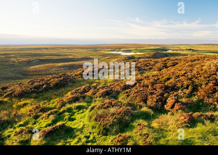 Nord su Loch di Yarrows 7 miglia SW di stoppino. Piatto tipico paese Floe paesaggio di Caithness regione del nord-est della Scozia, Regno Unito Foto Stock