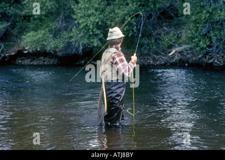 Un pescatore a mosca ganci un arcobaleno di grandi dimensioni in un piccolo canale laterale della parte inferiore del fiume Deschutes Foto Stock