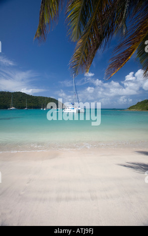 Spiaggia deserta Salt Whistle Bay Mayneau St Vincent Winward Islands Lesser Antilles British West Indies Foto Stock