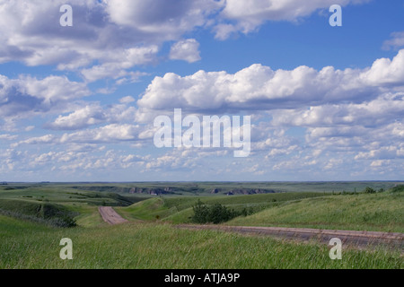 Strada di campagna che si estende oltre il robusto terra e cielo celeste nella prateria Foto Stock