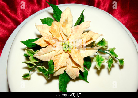 Un decorato splendidamente decorati a mano ghiacciata di torta di frutta su un raso rosso sfondo in un studio con flash design da Pam Hannon Foto Stock