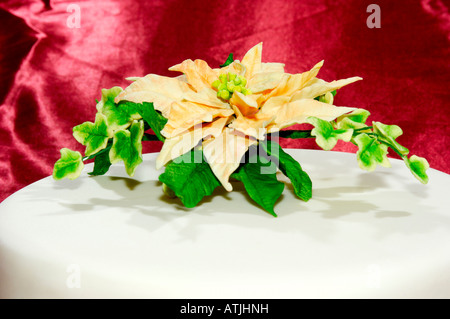 Close up dettaglio di un lavorato splendidamente decorate a mano iced torta alla frutta in uno studio con un flash design da Pam Hannon Foto Stock