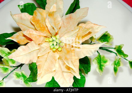 Close up dettaglio di un lavorato splendidamente decorate a mano iced torta alla frutta in uno studio con un flash design da Pam Hannon Foto Stock