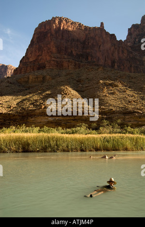 L'uomo gode di rinfrescarsi con una nuotata nel piccolo fiume Colorado durante un viaggio rafting lungo il Grand Canyon, Arizona. Foto Stock