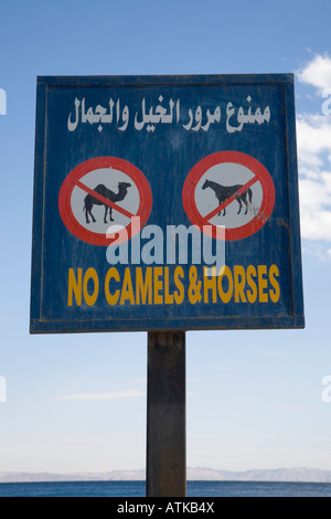 No cammelli e cavalli simbolo sul segno da spiaggia in località turistica sul Mar Rosso costa orientale in inglese e in lingua araba Dahab Egitto Foto Stock